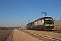 Siemens 22685 - WLC "193 760"
22.12.2021 - Neumarkt (Oberpfalz)
Niklas Eimers