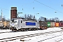 Siemens 22688 - Metrans "383 401-7"
15.02.2021 - Gladbeck, West
Sebastian Todt