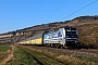 Siemens 22698 - RTB Cargo "193 999-0"
02.03.2022 - Thüngersheim
Wolfgang Mauser