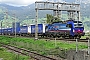 Siemens 22712 - SBB Cargo "193 526"
17.09.2021 - Schwyz
Joachim Lutz