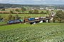 Siemens 22719 - SBB Cargo "193 528"
06.10.2022 - Oberrüti
Peider Trippi