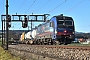 Siemens 22726 - SBB Cargo "193 530"
07.12.2021 - Oberrüti
Peider Trippi