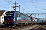 Siemens 22727 - SBB Cargo "193 531"
17.11.2020 - Pratteln
Theo Stolz