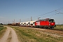 Siemens 22733 - ÖBB "1293 063"
08.05.2020 - Tullnerfeld
Thomas Schneider