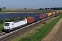 Siemens 22735 - LOKORAIL "193 964"
09.08.2025 - Stephansposching
Thomas Stadelmann