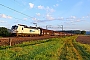Siemens 22762 - ČD Cargo "193 586"
14.09.2021 - Retzbach-Zellingen
Wolfgang Mauser