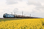 Siemens 22767 - E-P Rail "192 003"
25.04.2023 - Lehliu
Martin Drube