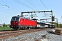 Siemens 22791 - DSB "EB 3202"
01.05.2024 - Roskilde
Peider Trippi