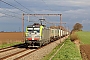 Siemens 22844 - BLS Cargo "418"
11.04.2021 - Remicourt
Alexander Leroy