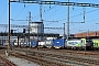 Siemens 22847 - BLS Cargo "419"
07.02.2023 - PrattelnTheo Stolz