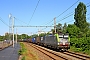 Siemens 22847 - BLS Cargo "419"
13.06.2021 - Groot-Bijgaarden
Philippe Smets
