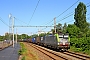 Siemens 22847 - BLS Cargo "419"
13.06.2021 - Groot-BijgaardenPhilippe Smets