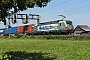 Siemens 22847 - BLS Cargo "419"
23.08.2023 - Oberrüti
Peider Trippi