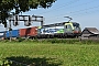 Siemens 22847 - BLS Cargo "419"
23.08.2023 - OberrütiPeider Trippi
