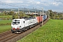 Siemens 22865 - TXL "193 597"
06.10.2022 - Oberrüti
Peider Trippi