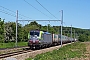 Siemens 22867 - BLS Cargo "421"
30.05.2021 - Sint Maartens Voeren - Fouron Saint Martin
Alexander Leroy