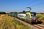 Siemens 22887 - BLS Cargo "423"
10.07.2025 - Heddesheim
Wolfgang Mauser