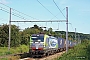 Siemens 22895 - BLS Cargo "424"
19.09.2021 - Sint Martens Voeren
Alexander Leroy