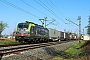 Siemens 22895 - BLS Cargo "424"
03.04.2025 - Bickenbach (Bergstr.)
Kurt Sattig