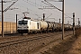 Siemens 22927 - RheinCargo "248 004"
04.03.2021 - Kissing
Christian Gebhardt