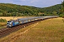 Siemens 23000 - RTB Cargo "6193 094"
01.09.2022 - Karlstadt (Main)-GambachWolfgang Mauser
