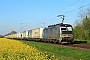 Siemens 23030 - ecco-rail "6193 099"
26.04.2023 - Dieburg Ost
Kurt Sattig