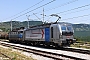 Siemens 23196 - HŽ Cargo "6193 101"
18.06.2023 - Škrljevo
Tomislav Dornik