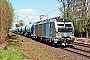 Siemens 23217 - ecco-rail "6193 104"
19.04.2023 - Hannover-Limmer
Christian Stolze