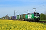 Siemens 23226 - Weco Rail "1193 901"
22.04.2023 - Dieburg Ost
Kurt Sattig