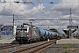 Siemens 23229 - CER Cargo "193 886"
04.08.2025 - Lovosice
Jiří Konečný