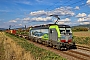 Siemens 23240 - BLS Cargo "427"
26.08.2026 - HeddesheimWolfgang Mauser