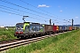 Siemens 23242 - BLS Cargo "429"
09.05.2025 - Heddesheim
Wolfgang Mauser