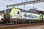 Siemens 23250 - BLS Cargo "437"
07.11.2025 - Spiez
Theo Stolz