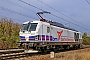 Siemens 23266 - BM Bahndienste "248 070"
30.01.2024 - Graben-NeudorfWolfgang Mauser