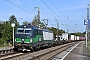 Siemens 23287 - TXL "193 938"
15.09.2023 - Riegel-Malterdingen
André Grouillet