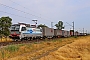 Siemens 23289 - SBB Cargo "6193 107"
29.06.2023 - Wiesental
Wolfgang Mauser