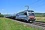 Siemens 23292 - SBB Cargo "6193 109"
23.08.2023 - Himmelstadt Holger Grunow