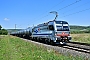 Siemens 23292 - SBB Cargo "6193 109"
23.08.2023 - Himmelstadt 
Holger Grunow