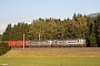 Siemens 23301 - Metrans "193 925"
13.08.2024 - ArnoldsteinIngmar Weidig