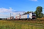 Siemens 23328 - TXL "6193 127"
20.09.2023 - WaghäuselWolfgang Mauser
