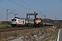 Siemens 23426 - HRS "248 081"
28.03.2025 - Tiefengruben
Konstantin Koch