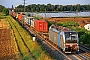 Siemens 23467 - SBB Cargo "6193  167"
03.08.2024 - Ladenburg
Wolfgang Mauser