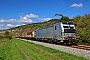 Siemens 23483 - dispo-Tf "6193 183"
01.10.2025 - Thüngersheim
Wolfgang Mauser