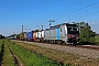 Siemens 23497 - SBB Cargo "6193 146"
11.05.2024 - Buggingen
Tobias Schmidt