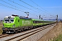 Siemens 23555 - FlixTrain "193 431"
07.03.2025 - Heddesheim
Wolfgang Mauser