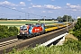 Siemens 23557 - RegioJet "193 433"
04.07.2025 - ParndorfMatej Budaj