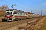 Siemens 23562 - SBB Cargo "193 543"
08.02.2025 - WiesentalWolfgang Mauser