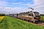 Siemens 23562 - SBB Cargo "193 543"
16.04.2026 - HeddesheimWolfgang Mauser