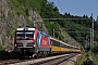Siemens 23591 - RegioJet "193 442"
13.06.2025 - Bílovice nad Svitavou
Jiří Konečný