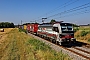 Siemens 23594 - SBB Cargo "193 548"
10.07.2025 - Heddesheim
Wolfgang Mauser